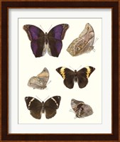 Violet Butterflies II Fine Art Print