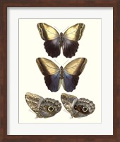 Violet Butterflies III Fine Art Print