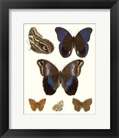Violet Butterflies IV Fine Art Print