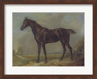 Golding Constable's Black Riding-Horse Fine Art Print