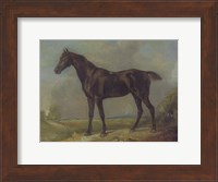 Golding Constable's Black Riding-Horse Fine Art Print