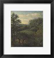 Valley Scene with Trees Fine Art Print