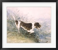 Dog Watching a Rat in the Water Fine Art Print