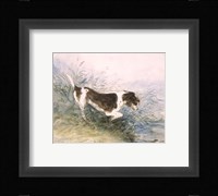 Dog Watching a Rat in the Water Fine Art Print