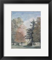 Study of Trees in a Park Fine Art Print
