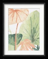 Blush Breeze IV Framed Print