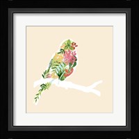 Foliage & Feathers II Framed Print