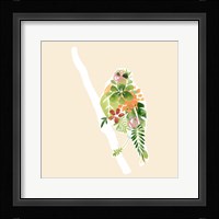 Foliage & Feathers III Framed Print