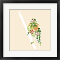Foliage & Feathers III Framed Print
