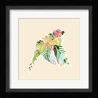 Foliage & Feathers IV Framed Print
