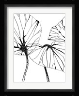 Linear Tropics I Framed Print