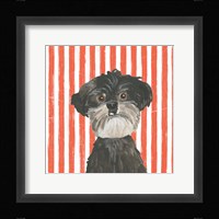 Parlor Pooches I Framed Print