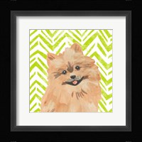 Parlor Pooches IV Framed Print