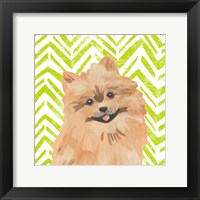 Parlor Pooches IV Framed Print