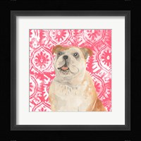 Parlor Pooches V Framed Print
