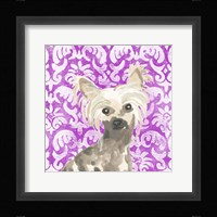 Parlor Pooches IX Framed Print