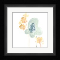 Petite Petals I Framed Print