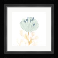 Petite Petals V Framed Print