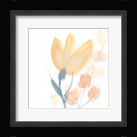 Petite Petals VIII Framed Print