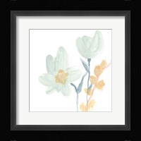 Petite Petals IX Framed Print
