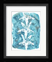 Seaside Shapes II Framed Print