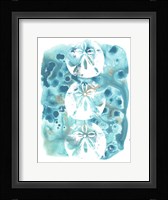 Seaside Shapes IV Framed Print