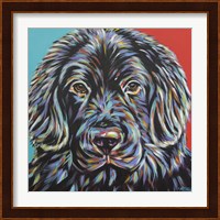 Canine Buddy I Fine Art Print