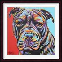 Canine Buddy III Fine Art Print