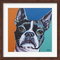 Dog Friend III Fine Art Print