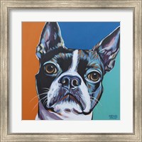 Dog Friend III Fine Art Print