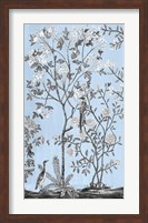 Tree of Life Chinoi II Fine Art Print