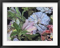 Dark Velvet II Framed Print