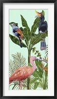 Birds Paradise I Framed Print