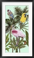 Birds Paradise II Framed Print