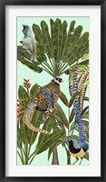 Birds Paradise III Framed Print