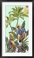 Birds Paradise IV Framed Print