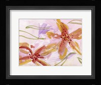 Aromatic Flowers II Framed Print
