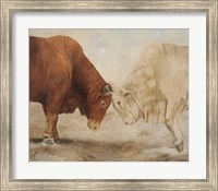 Stand Off I Fine Art Print