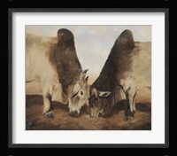 Stand Off II Fine Art Print