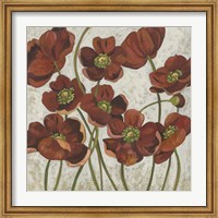 Sangria Poppies II Fine Art Print