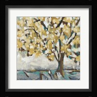 Golden Sunrise II Framed Print