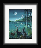 Bambi 3 Fine Art Print