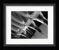 Champagne Flutes In A Row 2 Fine Art Print