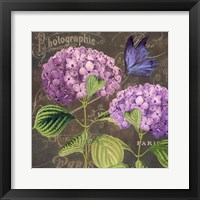 Purple Hydrangea Fine Art Print
