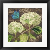 White Hydrangea Fine Art Print