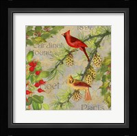 Christmas Birds II Framed Print
