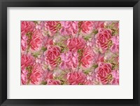 Pink Roses and Hydrangea Fine Art Print