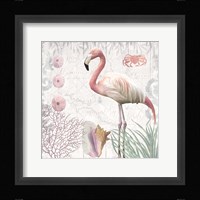 Waders I Flamingo Framed Print