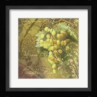 Vignes Blancs Pouilly Fume Framed Print