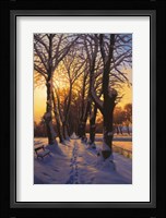 Snowy Evening Fine Art Print